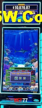 Experiência VIP Bet77